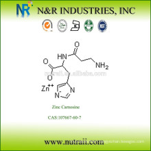 Zinc Carnosine CAS:107667-60-7